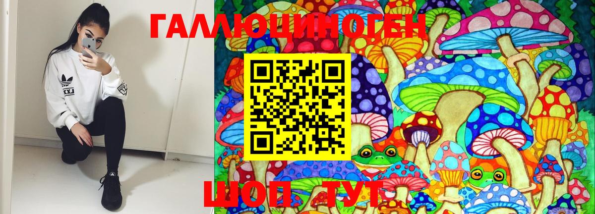 Галлюциногенные грибы MAGIC MUSHROOMS Большой Камень