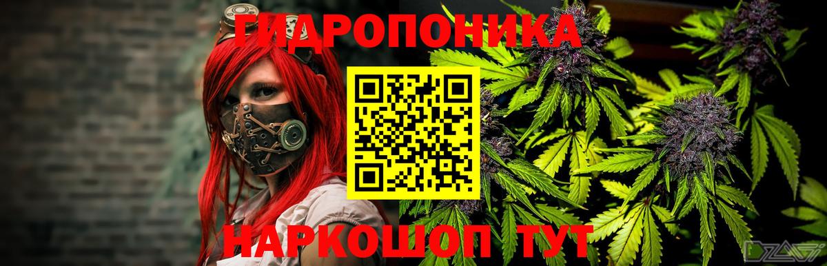 Бошки марихуана LSD WEED  Шишки марихуана Amnesia  Конопля Bruce Banner  Вход с VPN  Большой Камень 